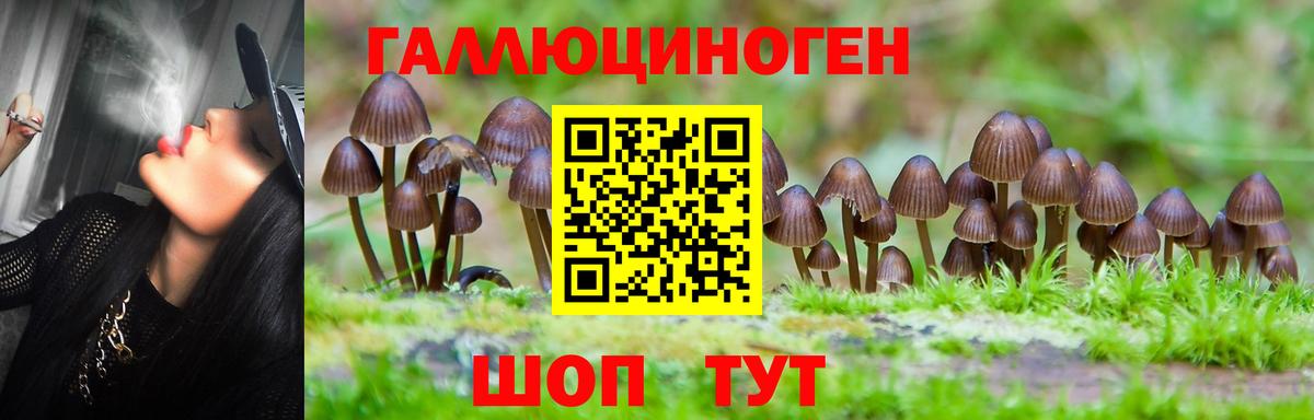 Псилоцибиновые грибы прущие грибы  Вход с VPN  Магадан  Псилоцибиновые грибы Cubensis 
